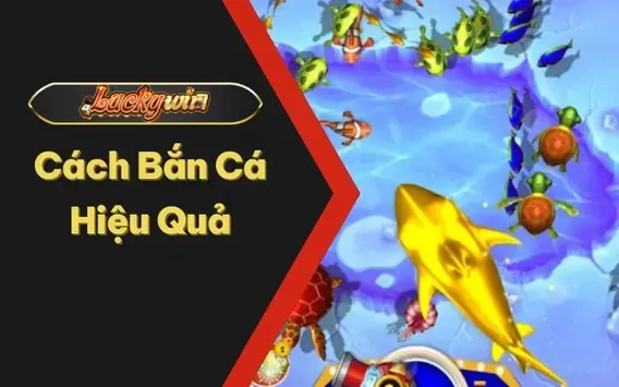 cach-ban-ca-hieu-qua